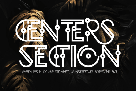 Centers Section Font: A Stylish Display Typeface for Modern Web Design
