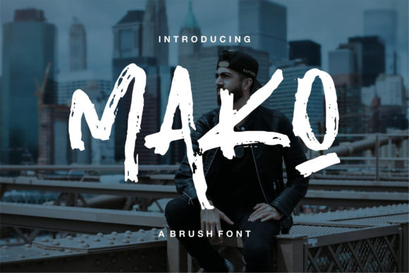 Mako: A Charming Display Font for Web Designers and Digital Brands