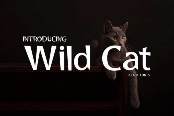 Wild Cat: A Bold Display Font for Editorial Impact